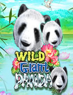 รีวิวแหล่ง ทาง เข้า เล่น slot191 สำหรับแฟนสล็อต